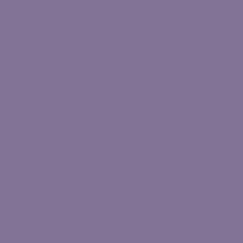 Amethyst Sport Brief