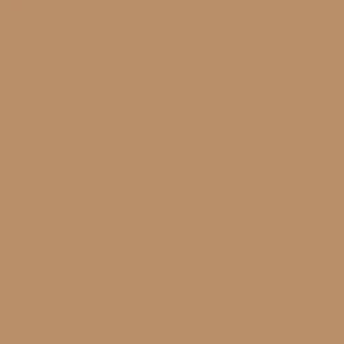 Buck Sport Brief