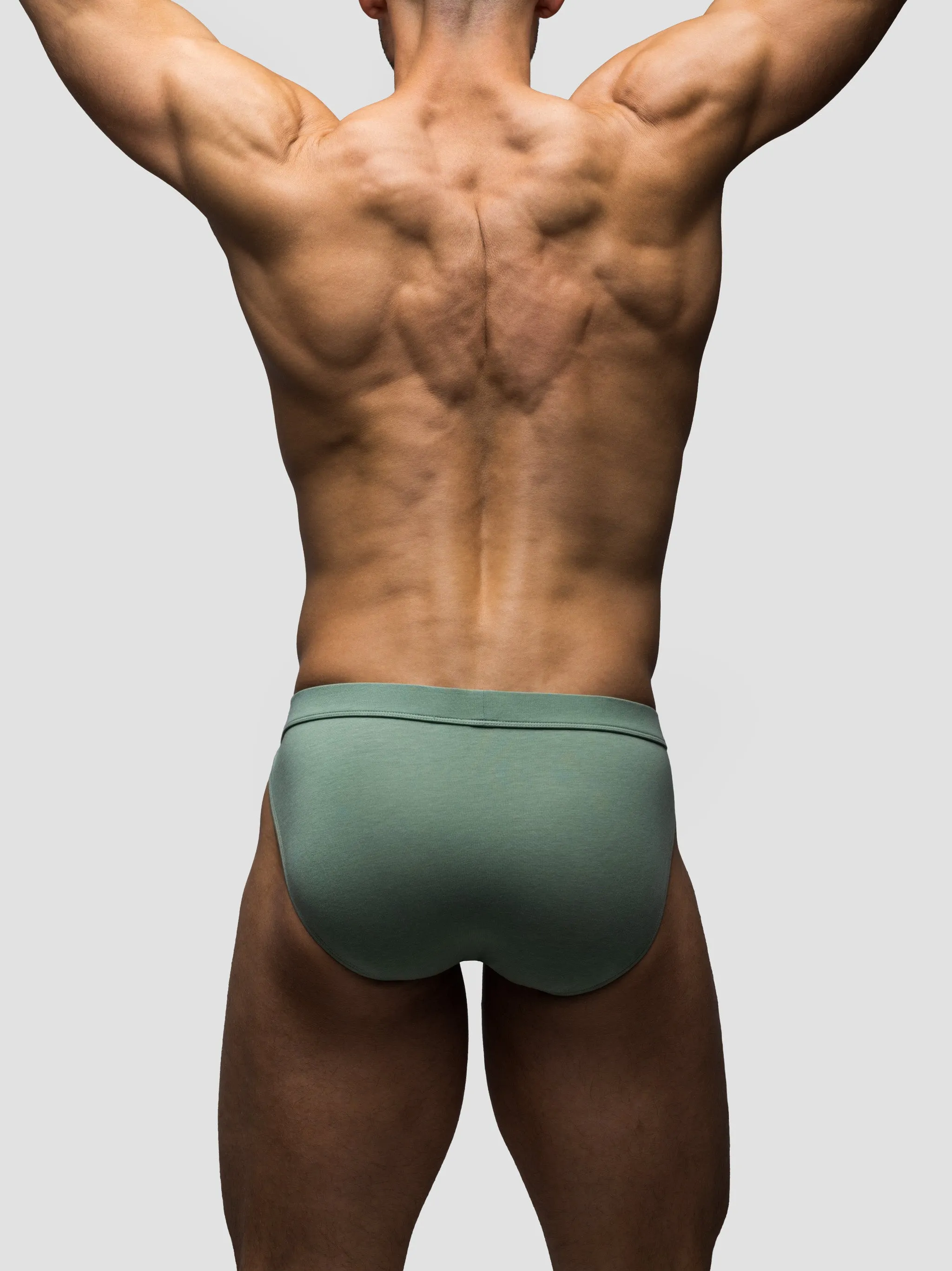 Lichen Sport Brief