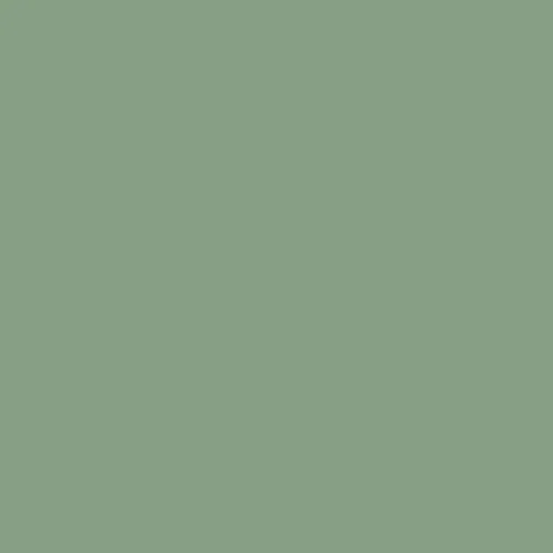 Lichen Sport Brief