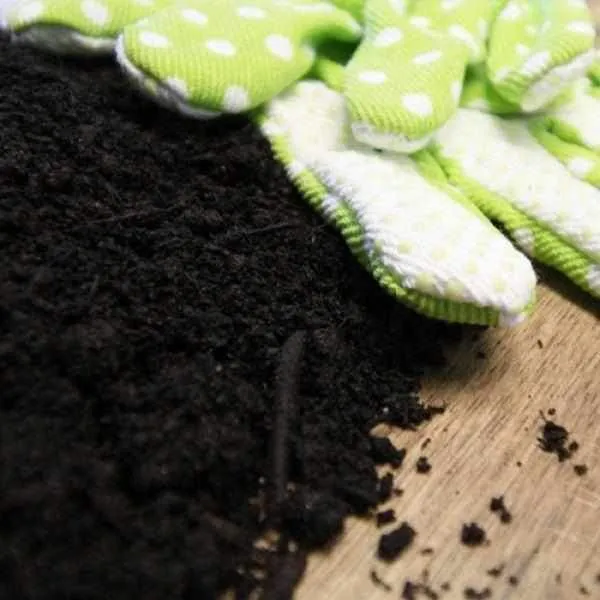 Multi Purpose Welsh Compost